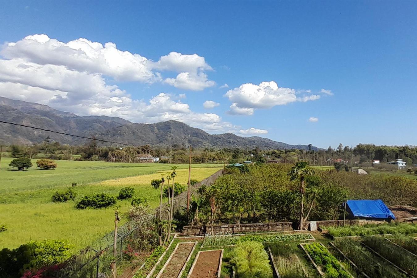 Forest Side Farm - Homestay At Kotabagh Near Nainital And Jim Corbett ภายนอก รูปภาพ